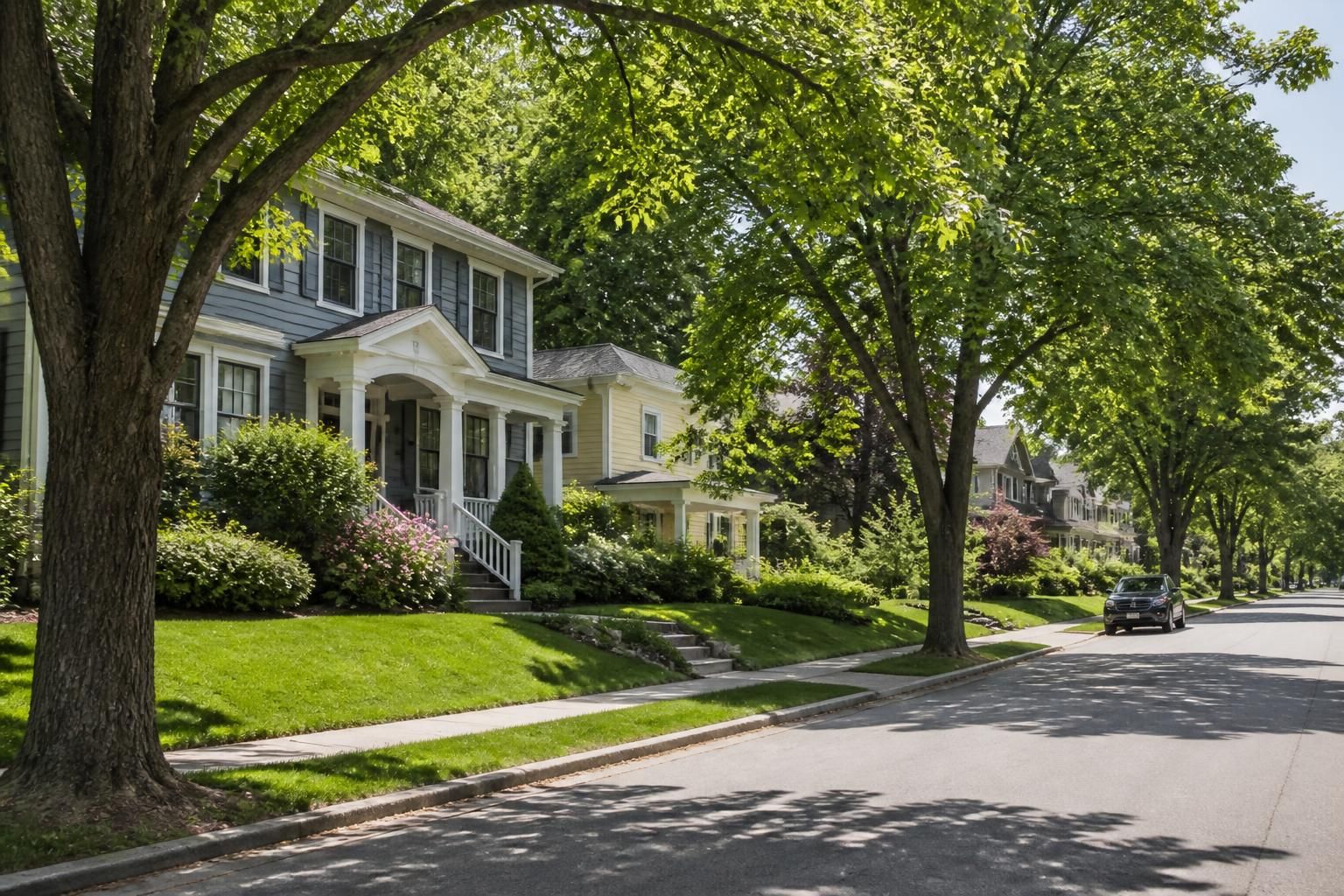 Calm Newton neighborhood with well-maintained homes and shade trees.